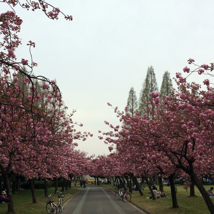 名古屋市内でランニングをするなら『庄内緑地』で決まり！