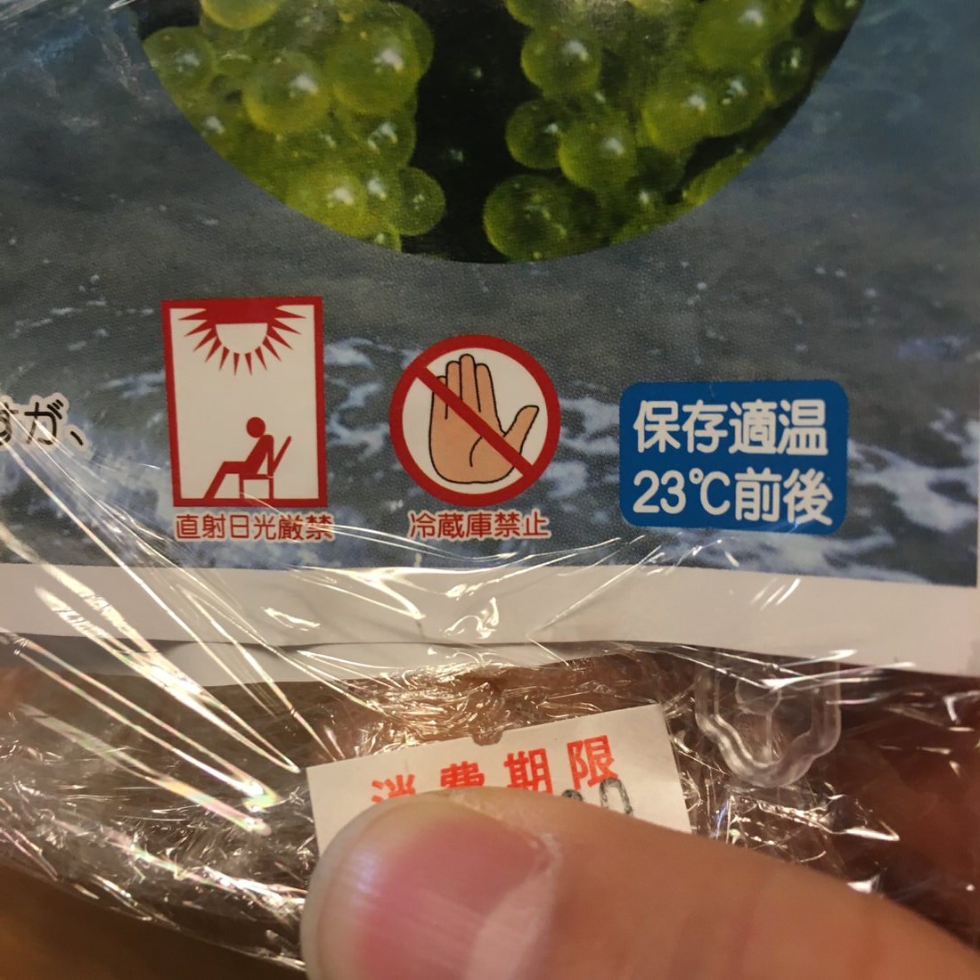 海ぶどう-冷蔵庫禁止記載